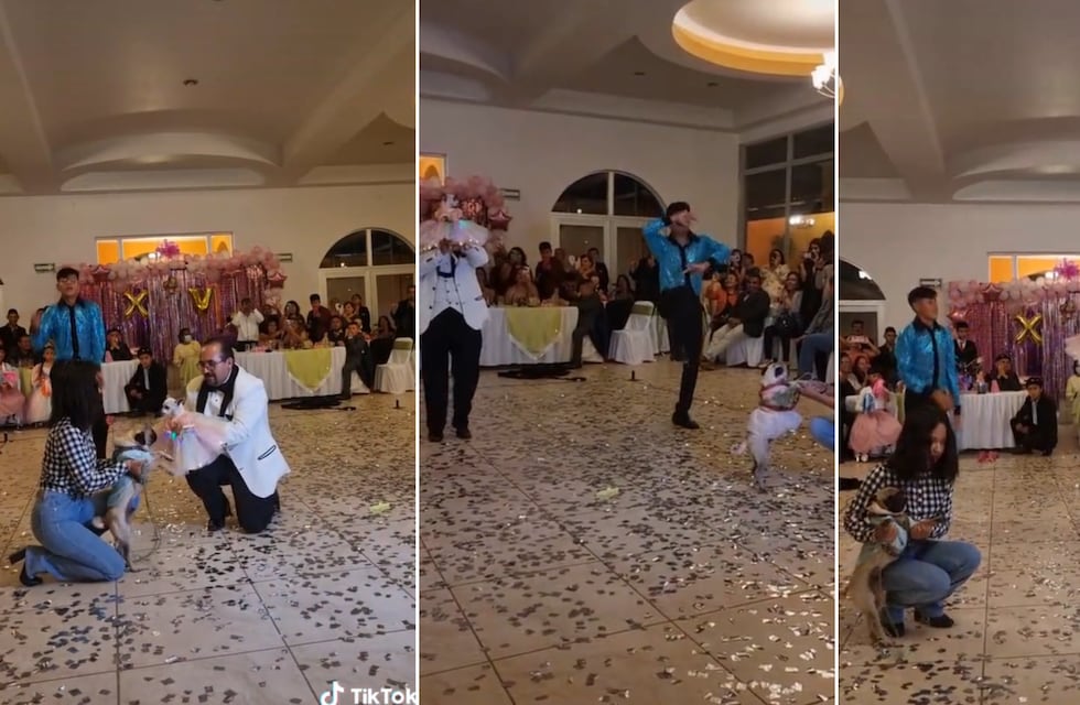 Le celebró los 15 años a su perrita con una carísima fiesta y se volvió viral en TikTok