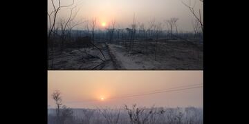 Los incendios forestales incineraron varios  miles de hectáreas en Jujuy esta semana.