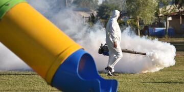 Las fumigaciones se realizan en espacios públicos y espacios verdes del Partido.
