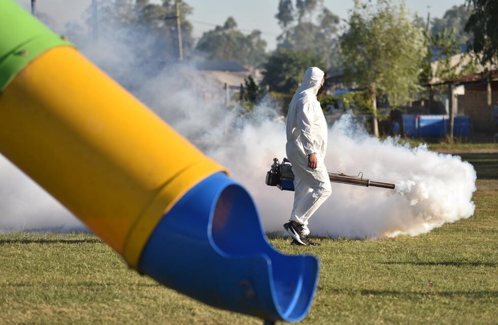 Piden acentuar el descacharreo para evitar la propagación del mosquito del dengue