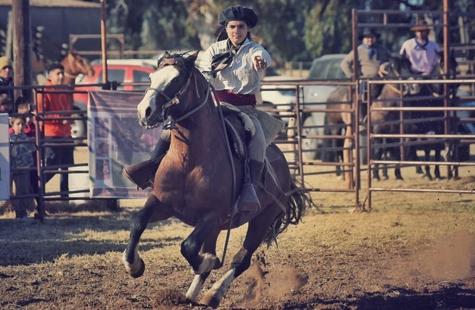Día Nacional del Caballo: Mendoza lo reconoce como parte de su vida e historia