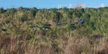 Una jubilada fue abandonada en la ruta y murió: el insólito motivo por el que descubrieron a su apoderado como sospechoso