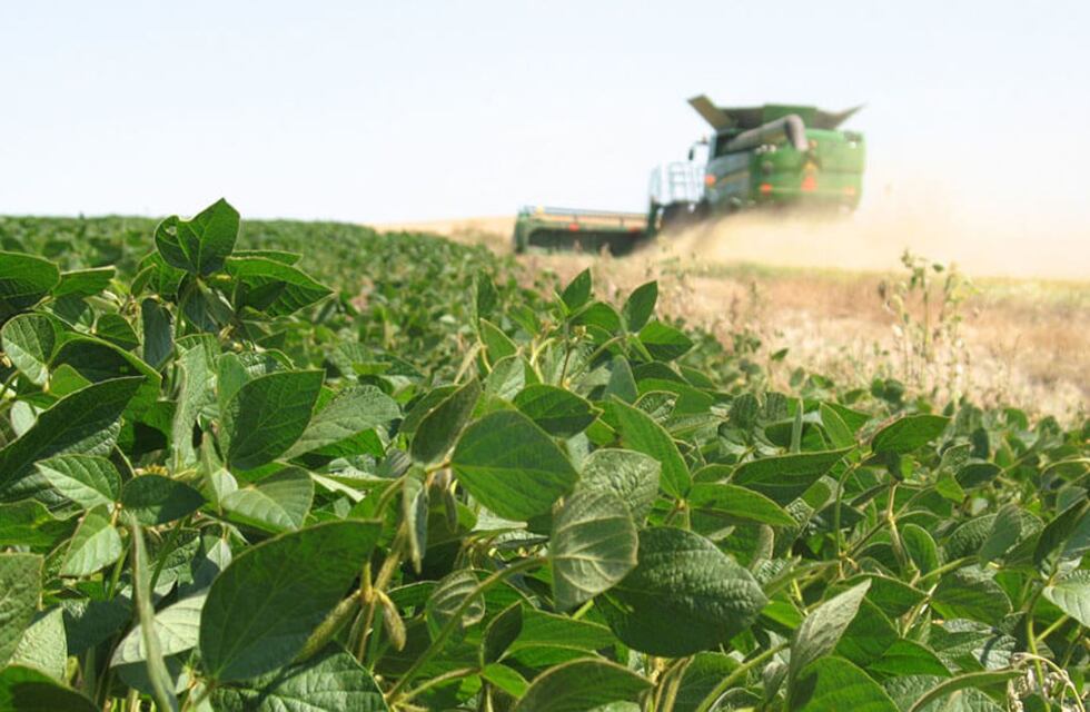 Emergencia y desastre agropecuario