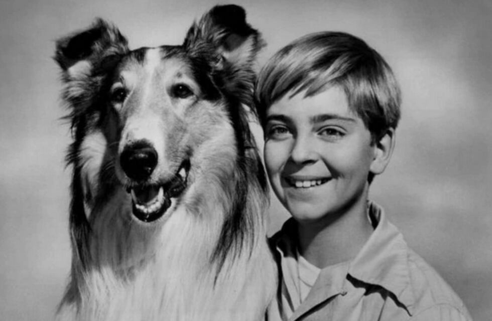 Los perros usan el campo magnético de la Tierra para orientarse