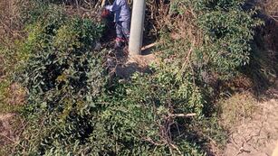 Mantenimiento del aeródromo a pedido de la ANAC