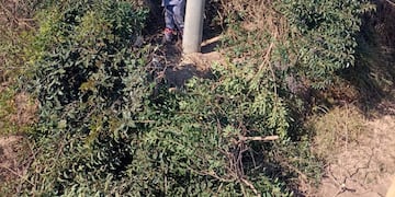 Mantenimiento del aeródromo a pedido de la ANAC