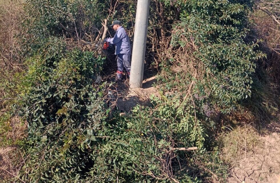 Mantenimiento en el Aeródromo local por pedido de la ANAC