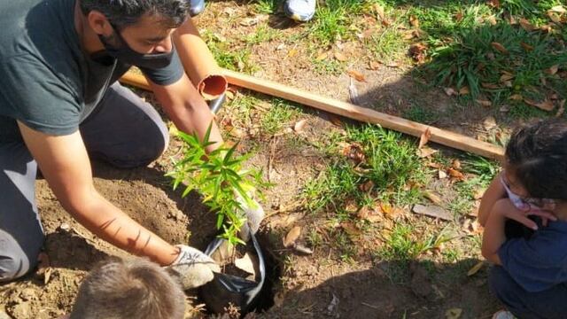 Forestación de árboles nativos en una escuela de Carlos Paz. (Foto: Dirección de Ambiente VCP).
