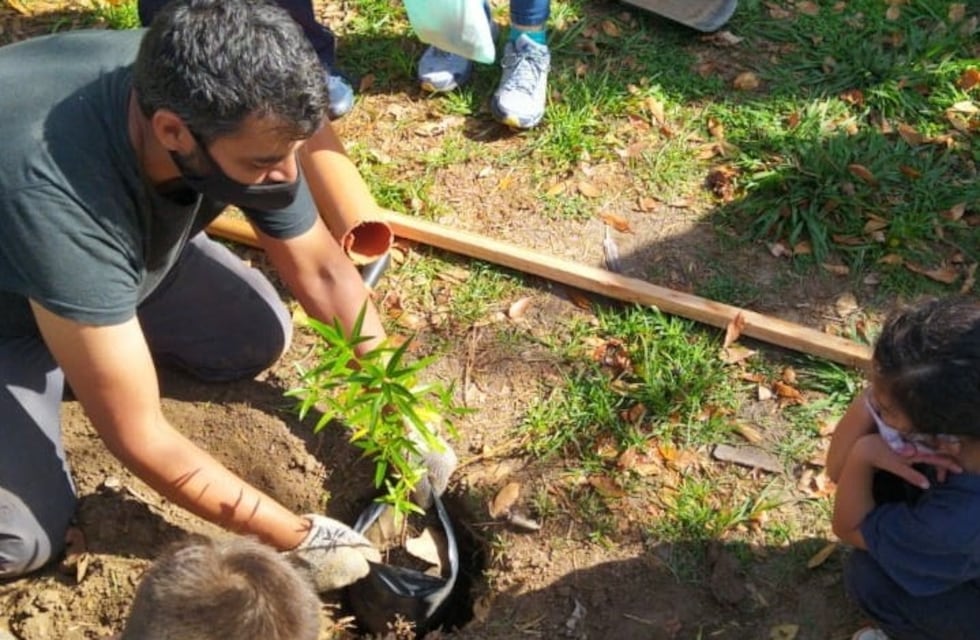 Plantaron diez árboles nativos en el patio de una escuela de Carlos Paz