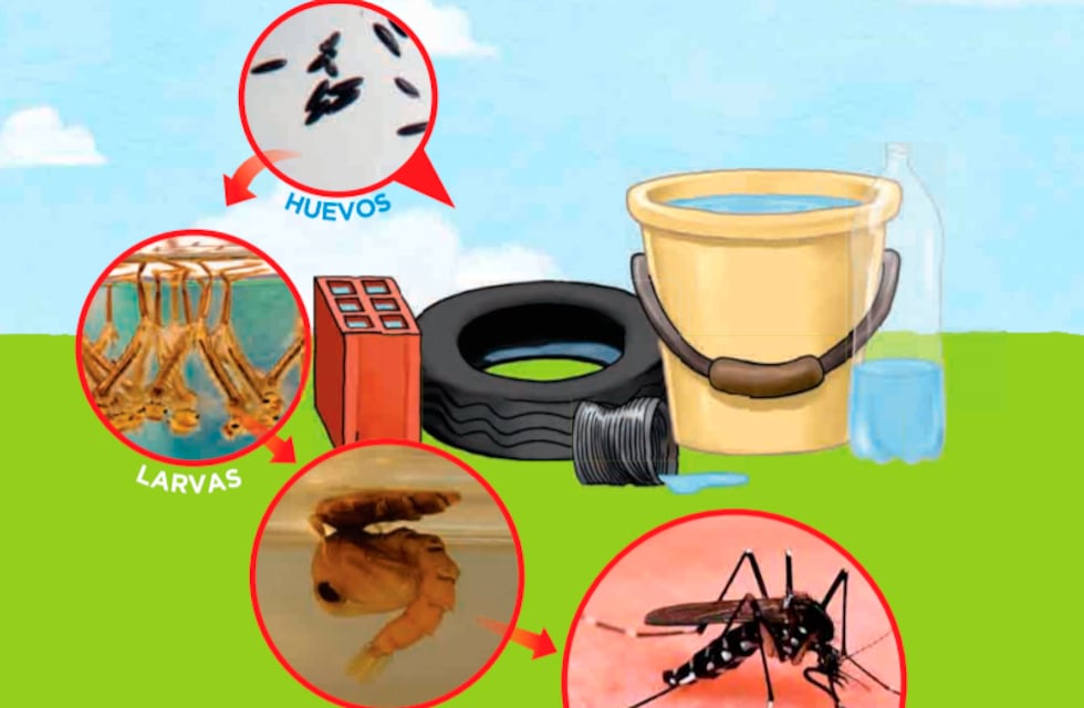 Campaña contra el Dengue en Punta Alta