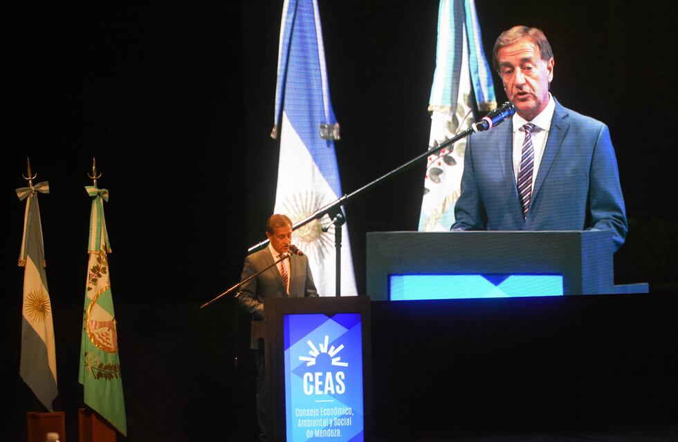 Rodolfo Suarez pedirá que el Consejo Social debata la reforma institucional