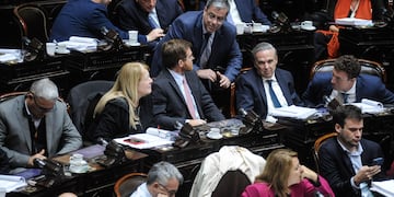 Unión por la Patria y Encuentro Federal son dos de los impulsores de la sesión (Foto: Federico López Claro)