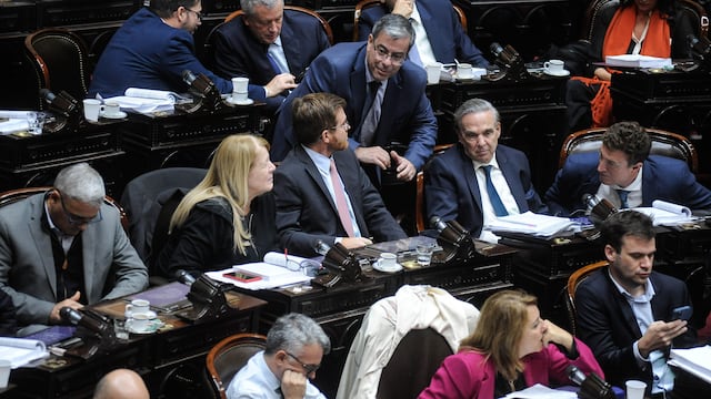 La oposición negocia para sesionar con el rechazo al veto jubilatorio (Foto: Federico López Claro)