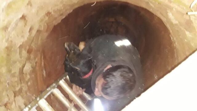 Bombero sacando al perro del pozo