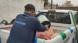 Decomisaron alrededor de 400 kilos de carne en Villa María. (Gentileza Ministerio de Agricultura y Ganadería de Córdoba/Ilustrativa).