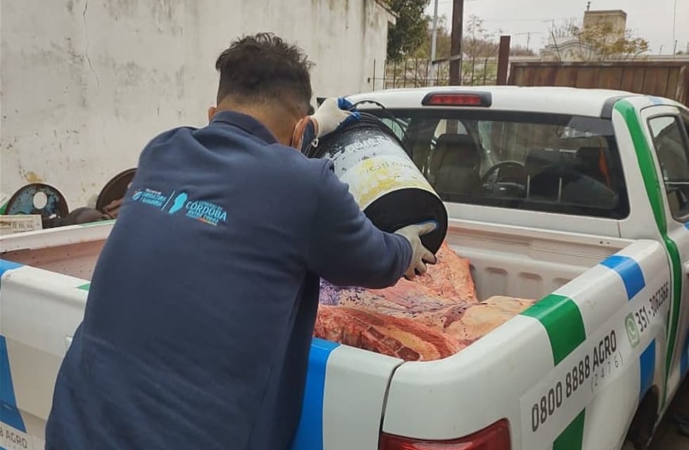 Secuestraron más de 350 kilos de carne en un centro clandestino en Córdoba