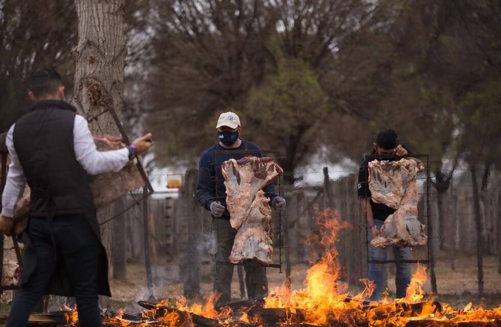 En el Día Campo se presentará un sistema único de riego en Mendoza que combina ganadería y agricultura en el secano