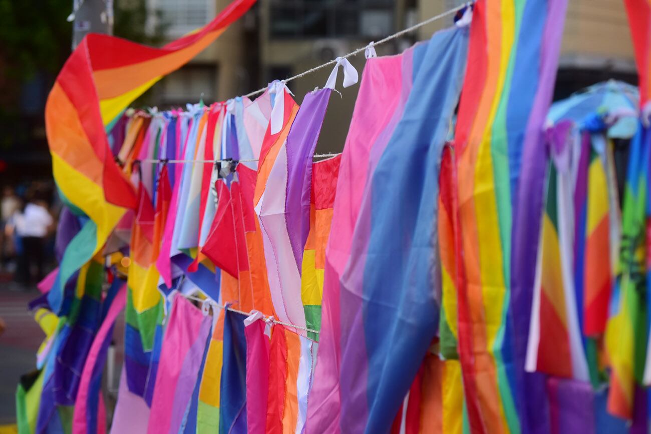 Marcha del Orgullo por las calles de Córdoba.  (Nicolás Bravo / La Voz)