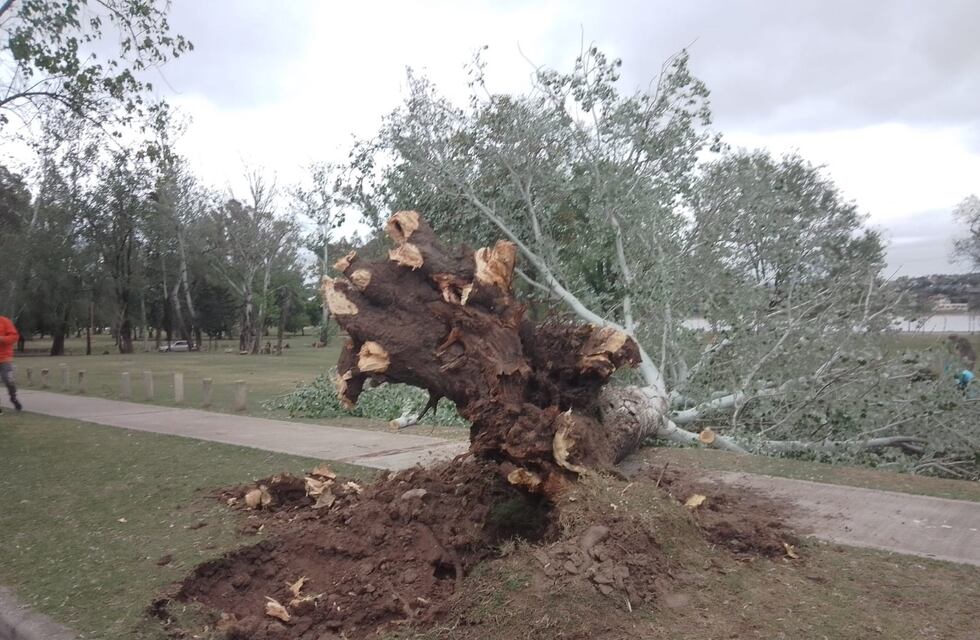 Lo que el viento dejó en Punilla