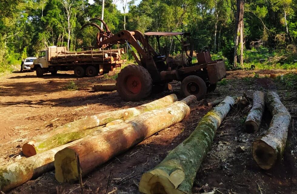 Colonia Delicia: guardabosques decomisaron madera nativa