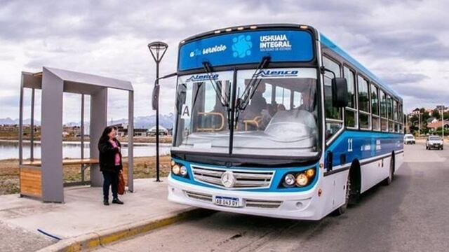 Ushuaia: comenzó la tramitación para el boleto estudiantil gratuito