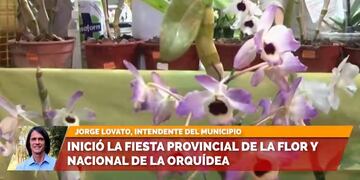 Con altas expectativas, inició en Montecarlo la Fiesta Nacional de la Orquídea y Provincial de la Flor.