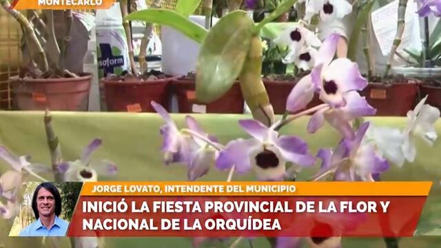 Con altas expectativas, inició en Montecarlo la Fiesta Nacional de la Orquídea y Provincial de la Flor.