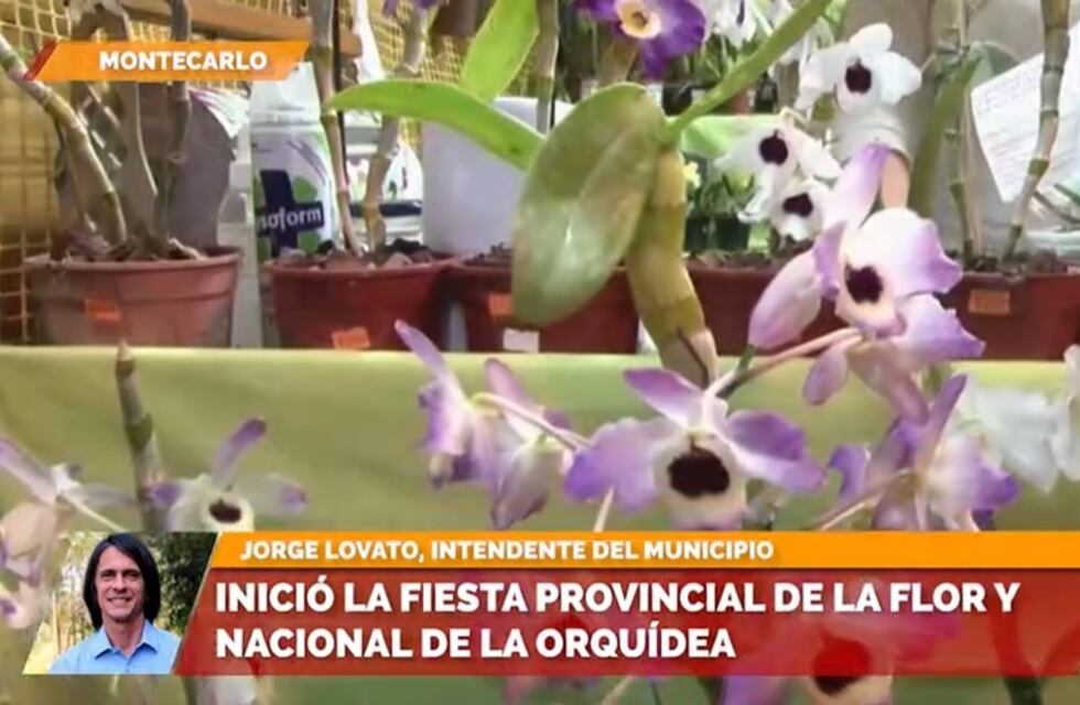 Con altas expectativas, inició en Montecarlo la Fiesta Nacional de la Orquídea y Provincial de la Flor