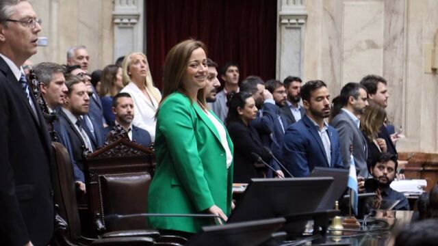 Cecilia Moreau, presidenta de la Cámara de Diputados e impulsora del proyecto sobre deudores alimentarios (Foto: HCDN)