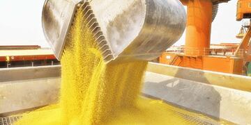 Cargamento de harina de soja para exportación