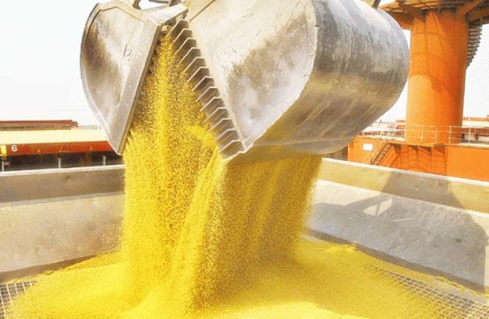 Exportación de soja y maíz con segundo mejor mayo de la historia