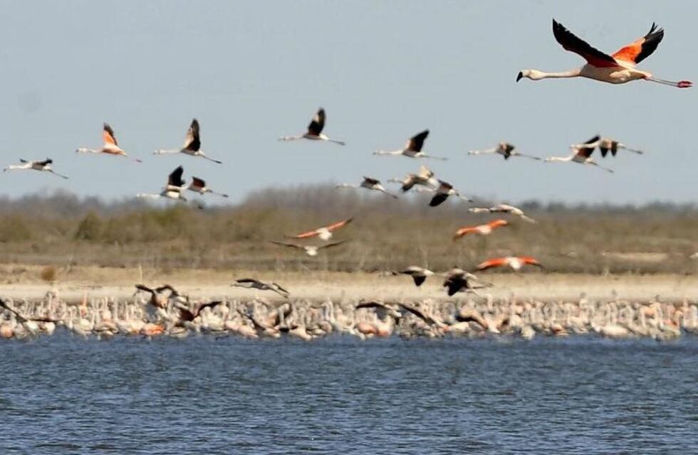 Clima en Ansenuza: cómo estará el tiempo para el lunes 10 de mayo
