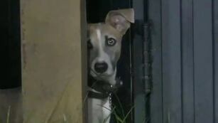 Arturo ya tiene favorito en Gran Hermano