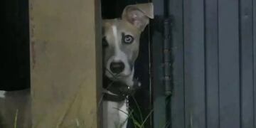 Arturo ya tiene favorito en Gran Hermano