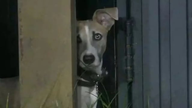 Arturo ya tiene favorito en Gran Hermano