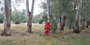 Imagen de archivo ilustrativa