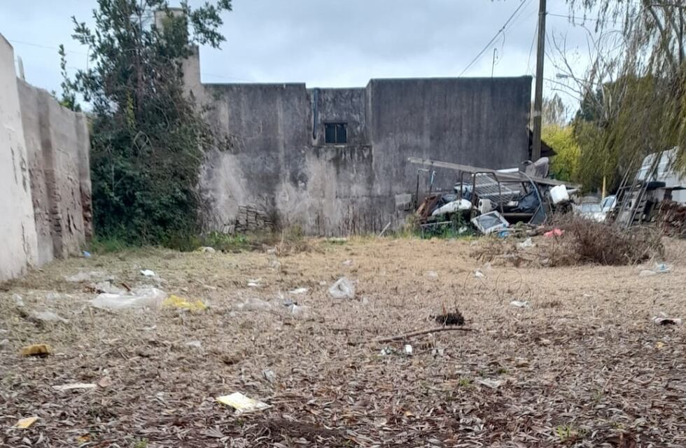 Higiene Urbana de Tres Arroyos limpió terrenos baldíos y basurales clandestinos