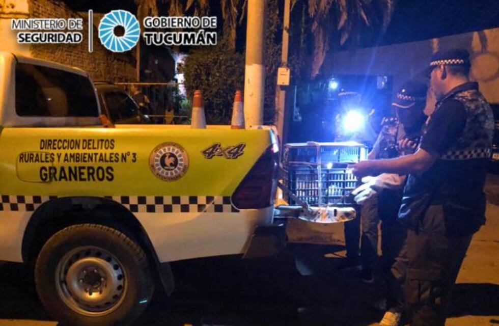 Rescataron a un "Oso Melero" en La Madrid tras pedido de ayuda de vecinos