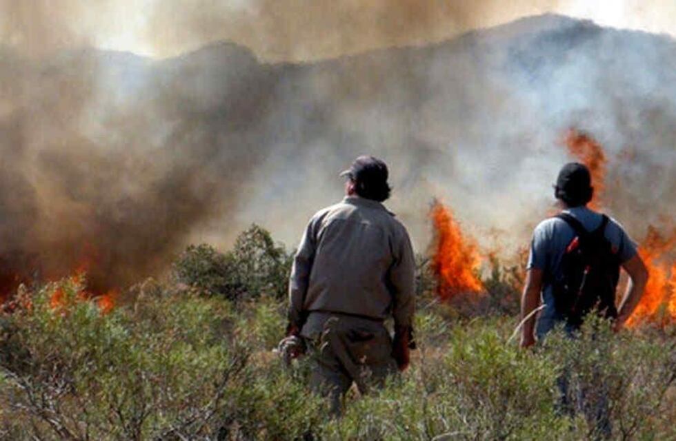 Los bomberos de Punilla fueron homenajeados en su día