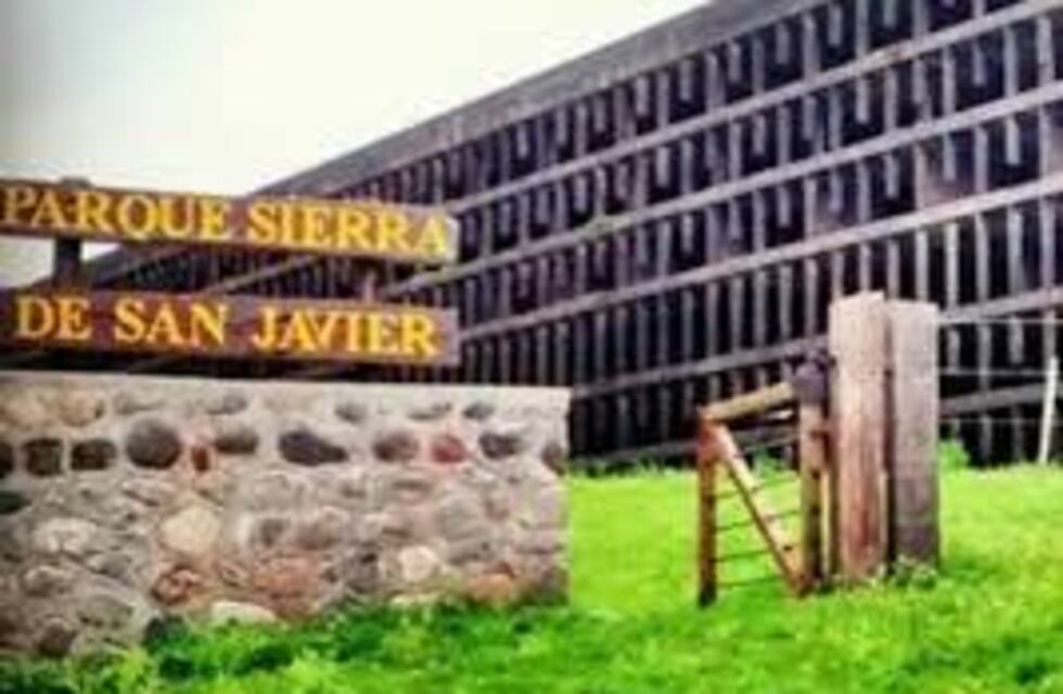 La mirada de Pagani sobre la Ciudad Universitaria