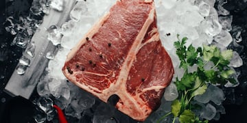 Cuál es el mejor método para descongelar la carne.