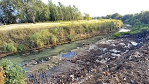 Según un estudio, el agua presenta altos niveles de contaminación