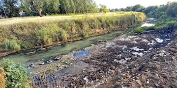 Según un estudio, el agua presenta altos niveles de contaminación