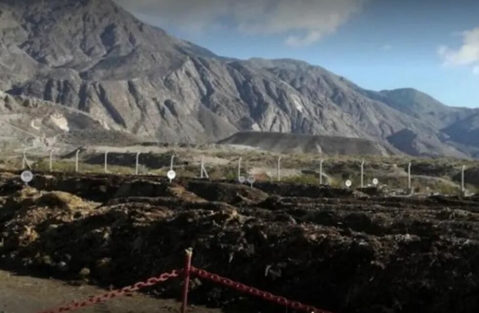 Horror en San Juan: un hombre murió tras ser atacado por una jauría