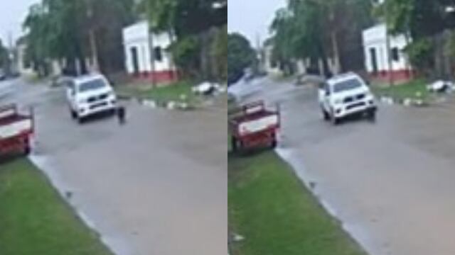 La Policía de Corrientes atropelló y mató a un perro de la calle