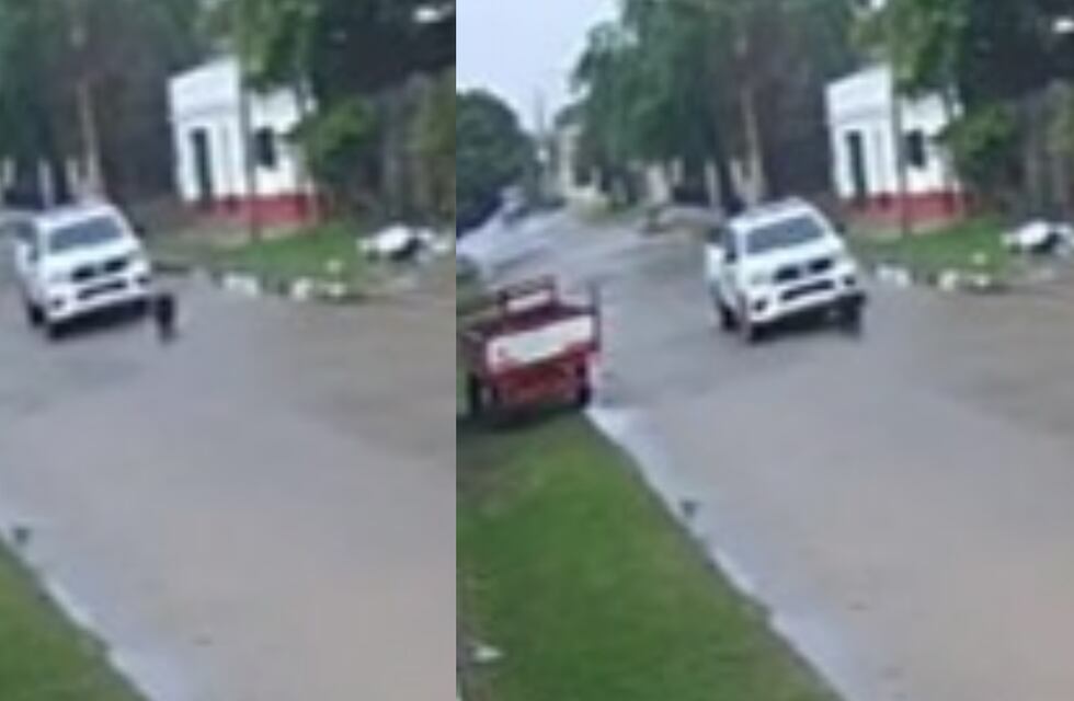 Indignante: un móvil policial de Corrientes atropelló y mató a un perro dejándolo tirado en la calle