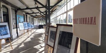 Extienden hasta el 31 de marzo las exposiciones de la Fiesta del Trigo en el CCE