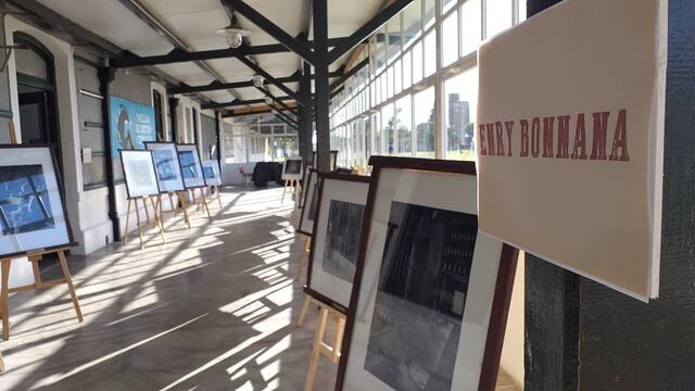 Extienden hasta el 31 de marzo las exposiciones de la Fiesta del Trigo en el CCE