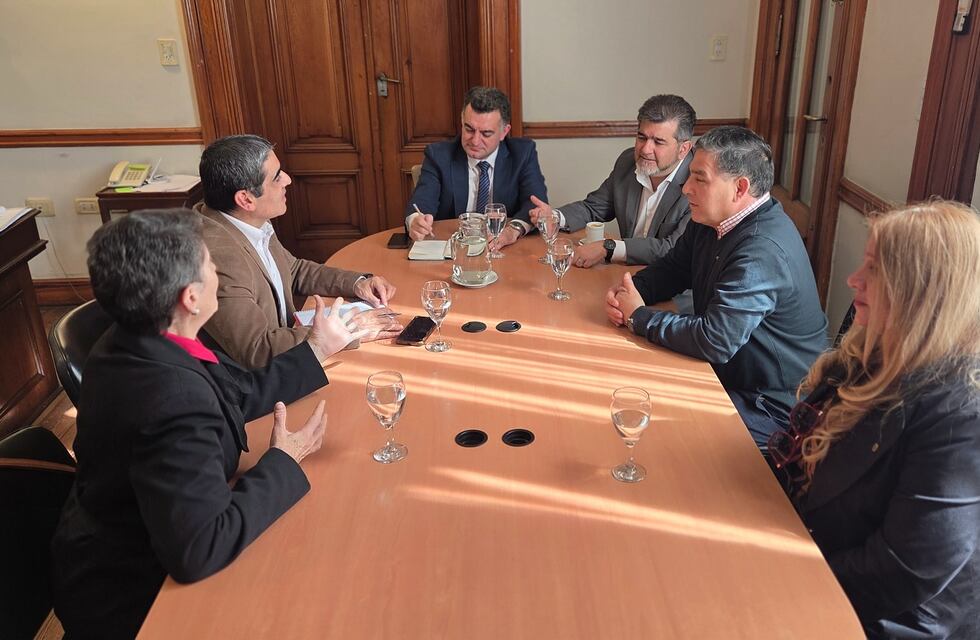 Fiesta de las Colectividades en Concepción