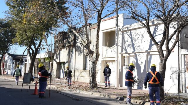 Comienza la época de poda en el arbolado público